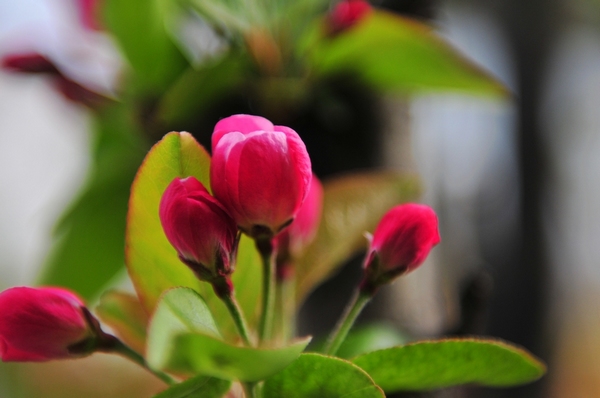 è￥??o??μ·?￡&nbsp;