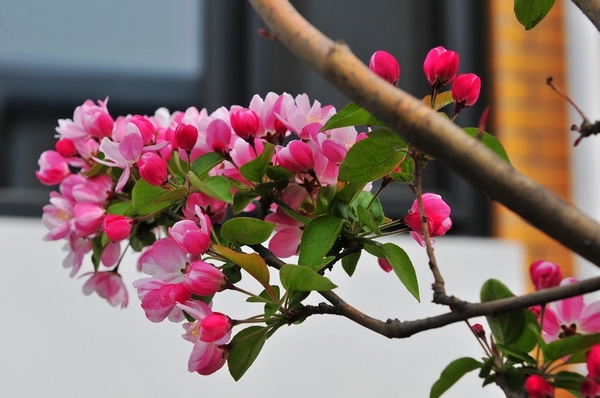 è￥??o??μ·?￡&nbsp;