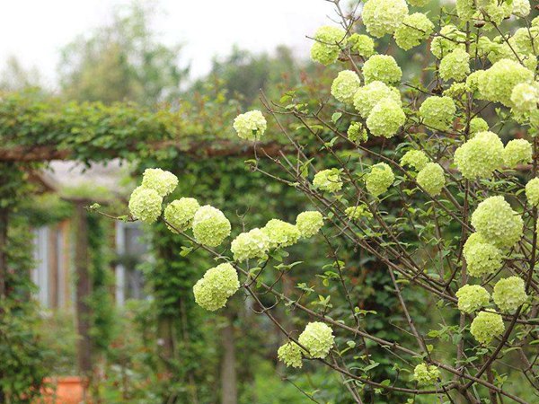 1619880203128420.jpg 2af571fafdf3a84d.jpg