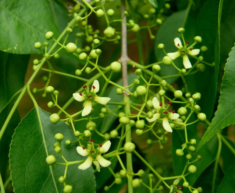 1634368889642301.jpg 10-121215111I5_副本.jpg