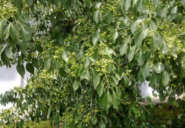 1634368903838724.jpg 1634368903838724.jpg