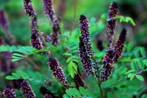 1634370489359829.jpeg 1634370489359829.jpeg