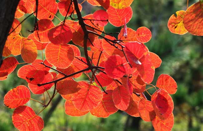 1634372236500788.jpg 1634372236500788.jpg