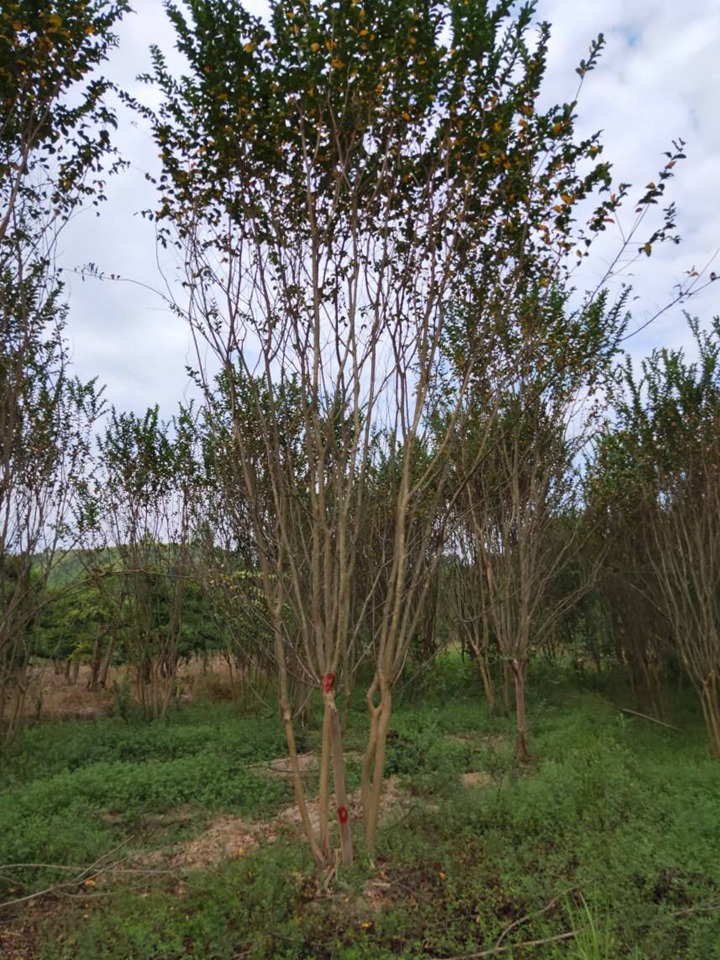 1671586387787962.jpeg a5ebc3db24a50930cb899d0f1b458702.jpeg