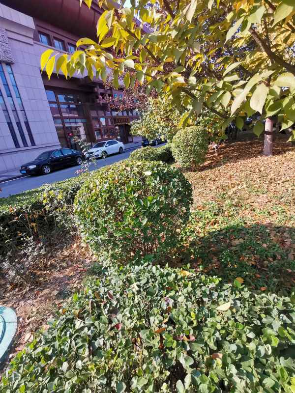 1730446725437311.jpg IMG_20231108_105404.jpg