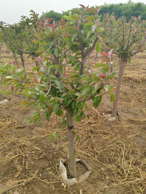 1734326414534853.jpg IMG_20230525_093038.jpg