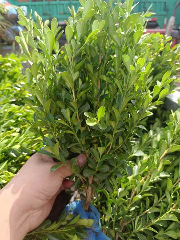 1734421879687545.jpg IMG_20220924_135914.jpg